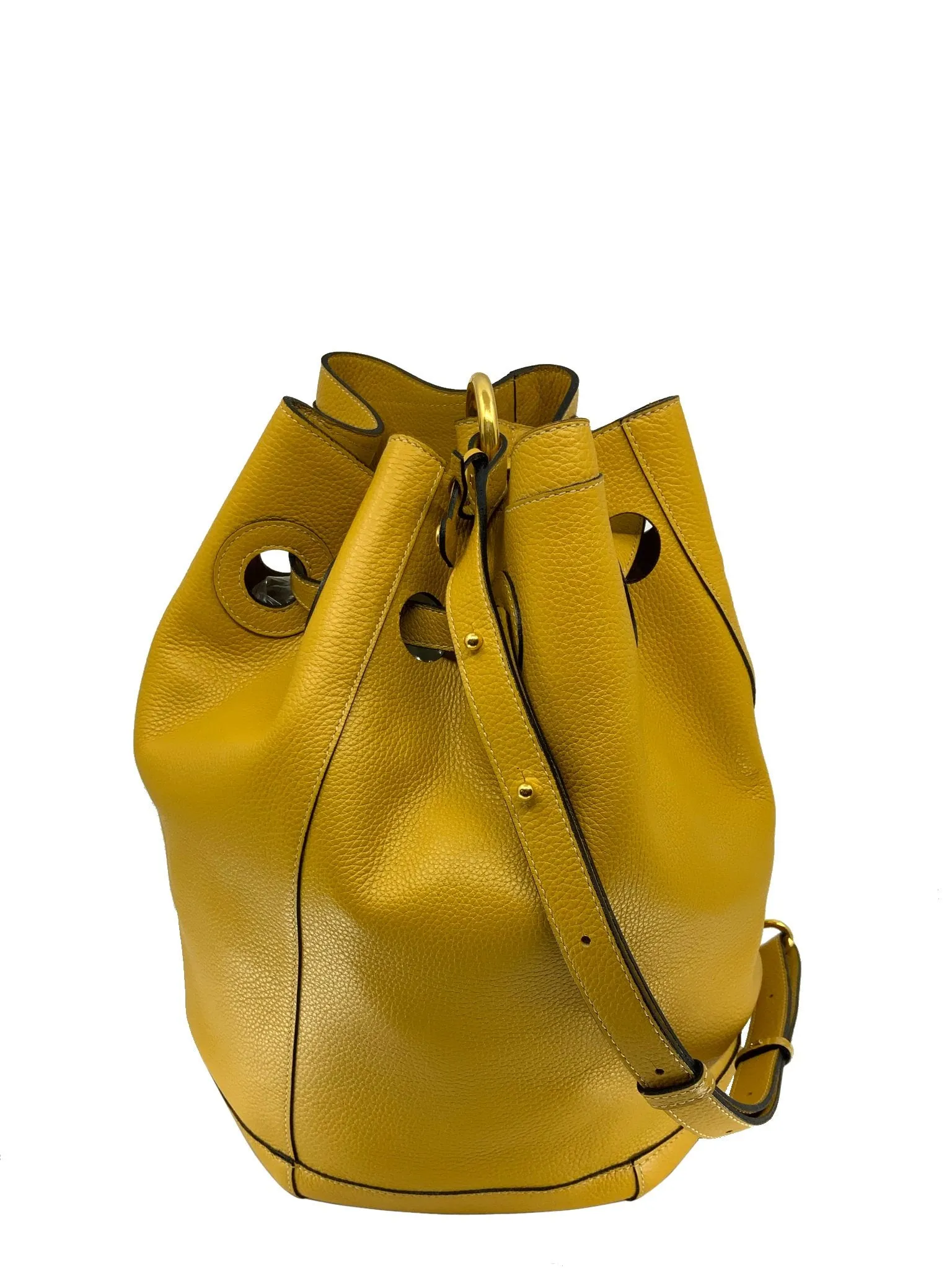 Delvaux Leather Bucket Backpack Bag